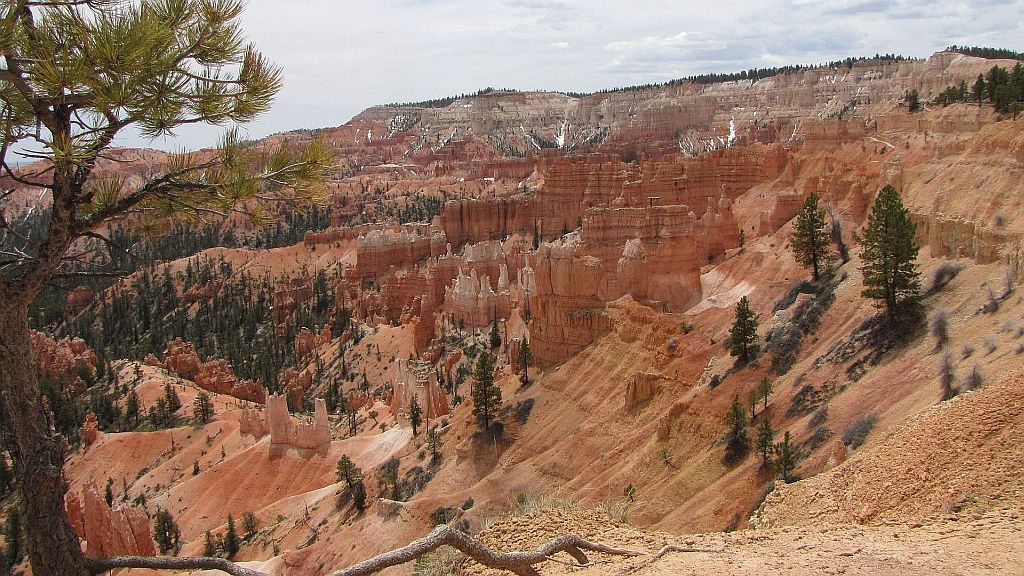Predviden potek potovanja