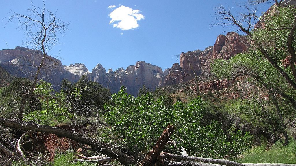 Zion Canyons