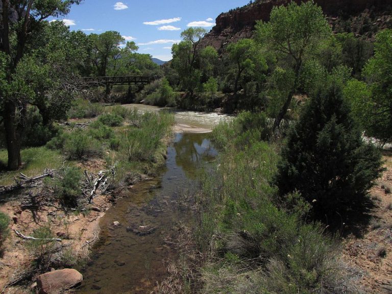 Umirjena pot do Visitor Centra