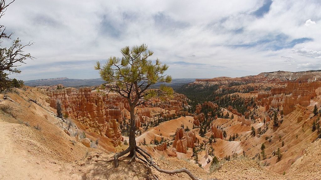 Bryce panorama