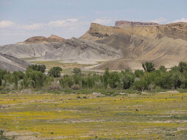 Še malo zelene barve