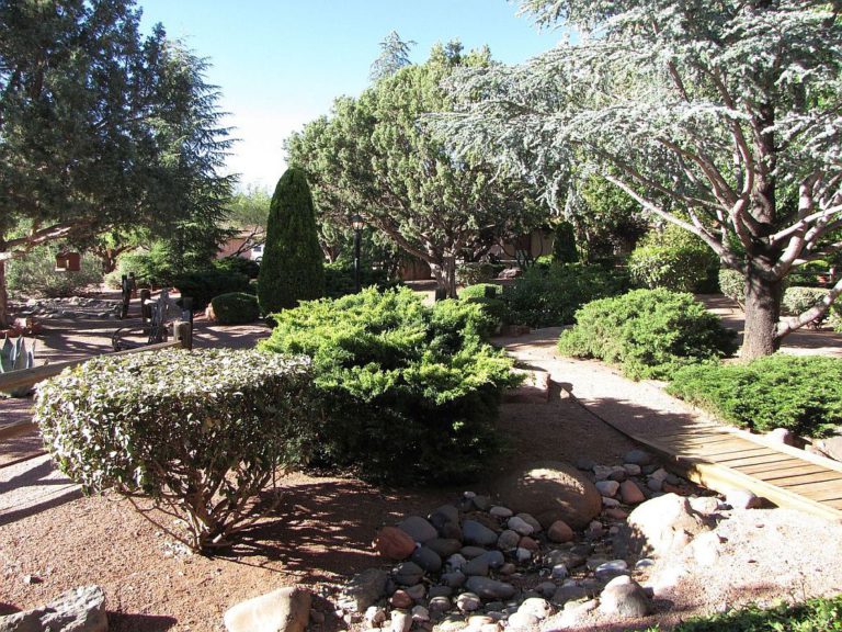 Parkec zadaj na terasi