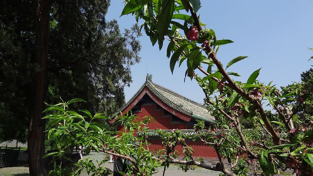 Zadnji dan v Pekingu