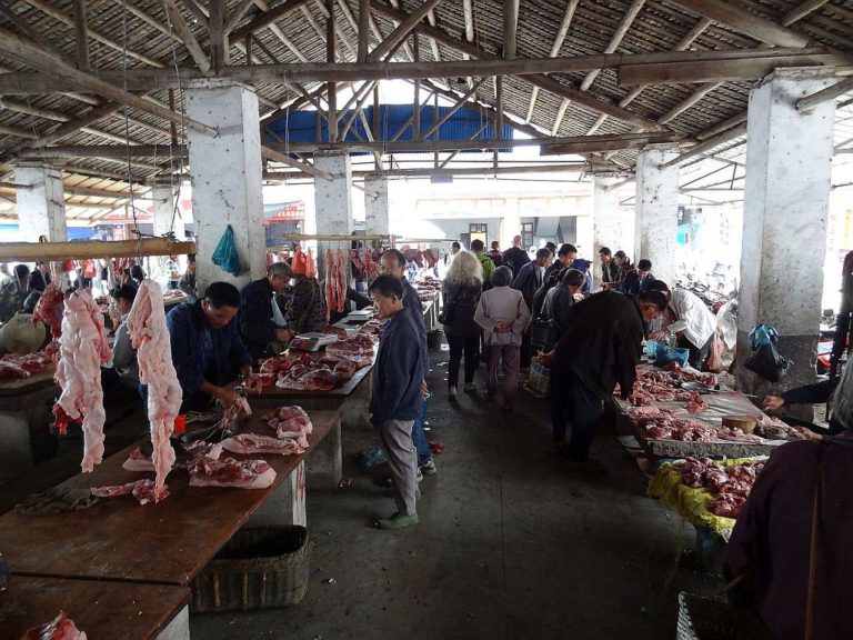 In potem mrtvo – kakšna muha gor ali dol