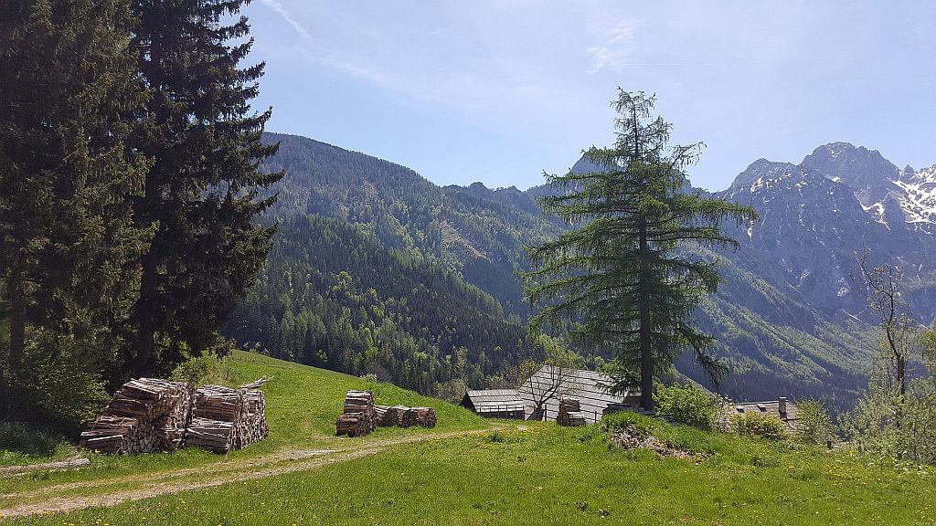 Blizu Pavličevega Sedla