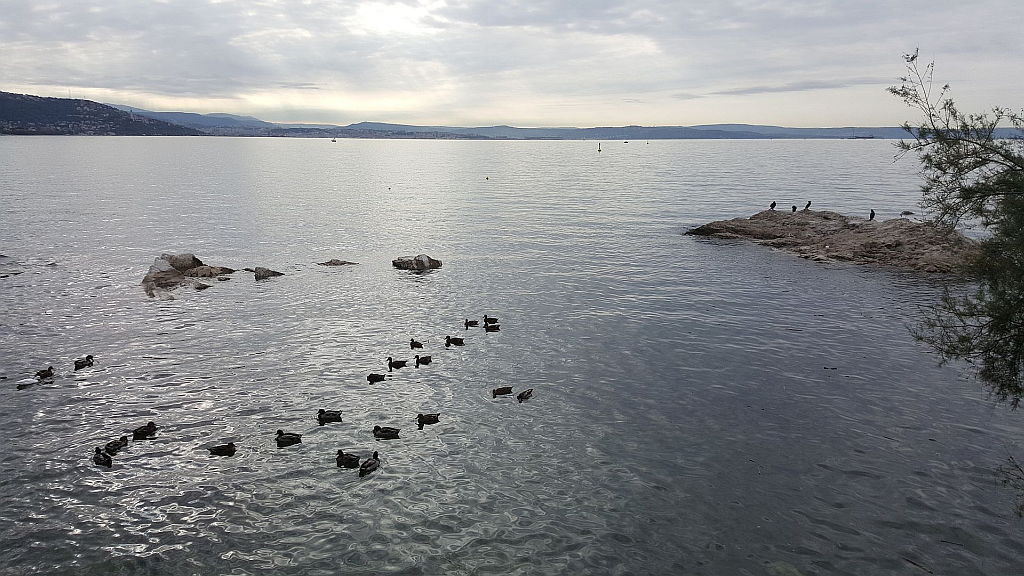 Pejsaž pri gradu Miramare