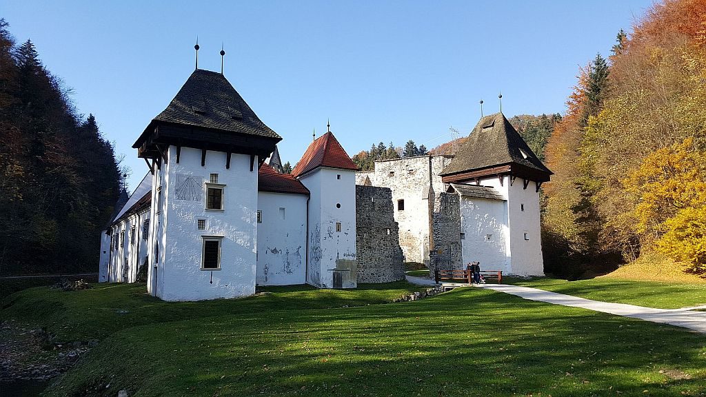 Delno obnovljena kartuzija