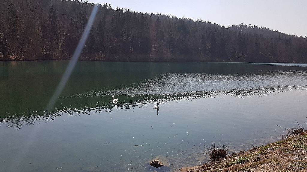 Zbiljsko jezero