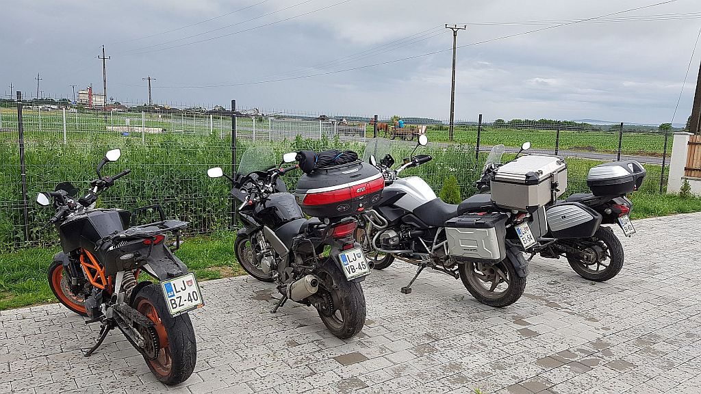 Konjenica. Spredaj in zadaj…