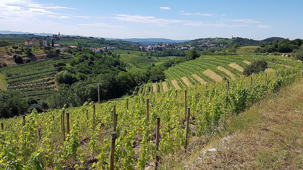 Dobrovo – Goriška Brda