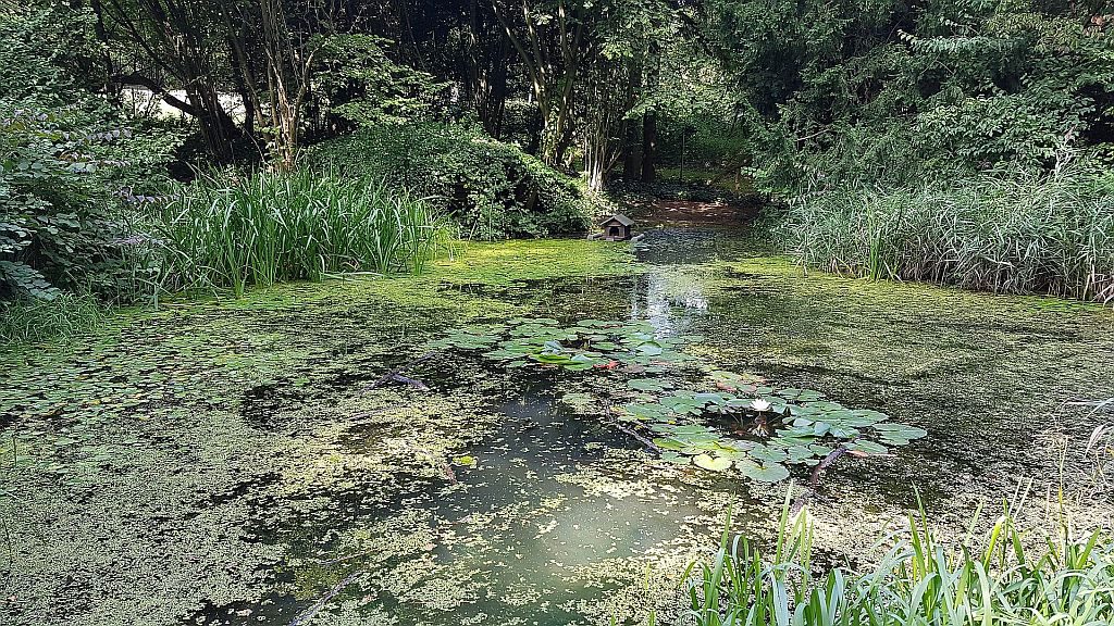 Južni park divjine…