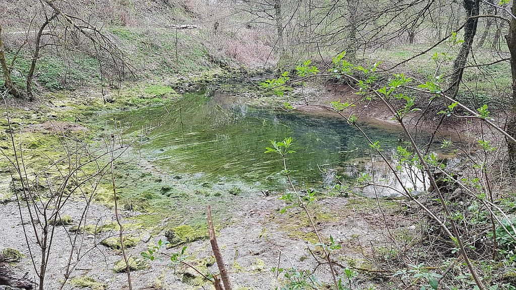 Izvir Ljubljanice pri Vrhniki