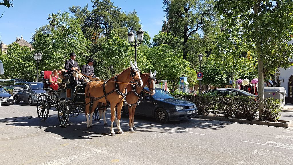 Kdo bo bolj potegnil...