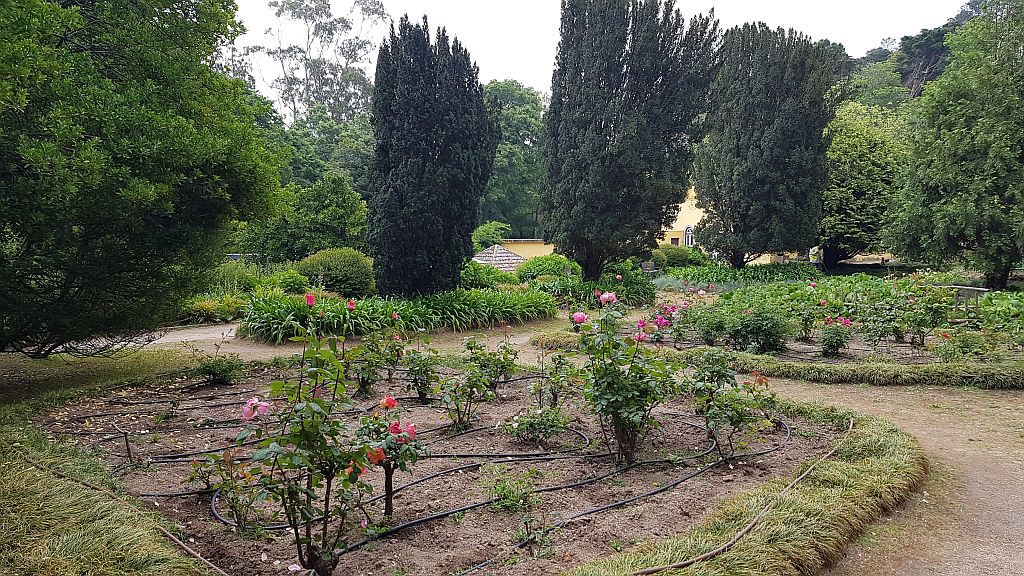 Slabo vzdrževan vrt