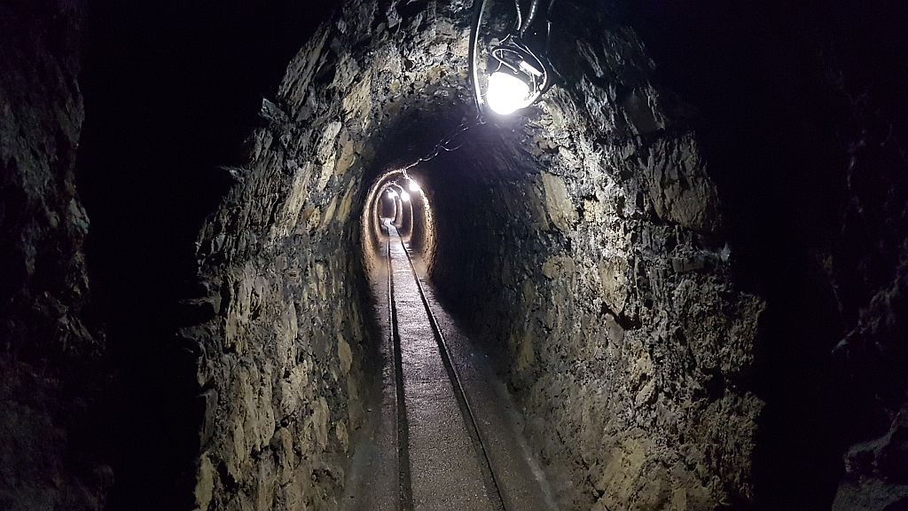 Eden od mnogih rovov