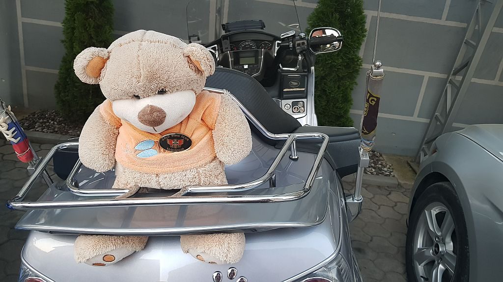 Goldwing klub maskota