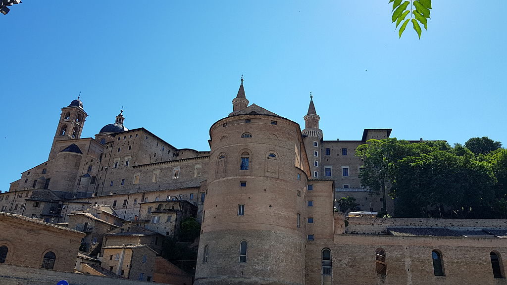 Urbino