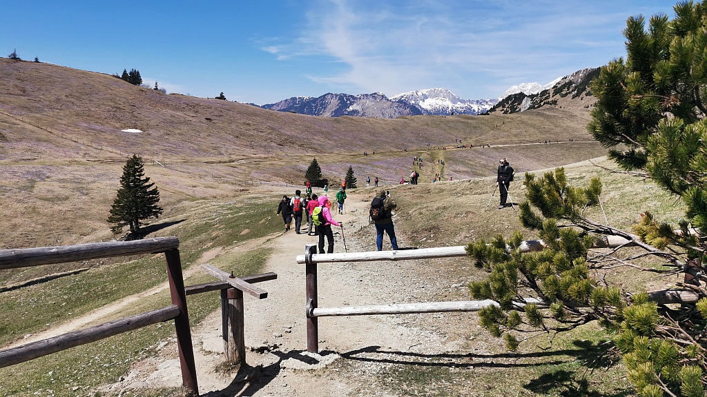 Proti Veliki Planini