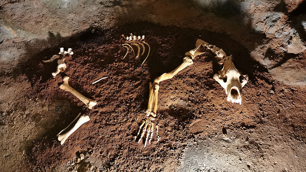 Sedaj pa počitek po dopustu