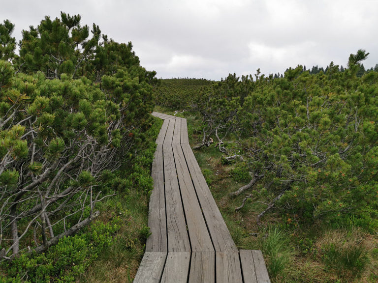 Da ne tacamo po barju