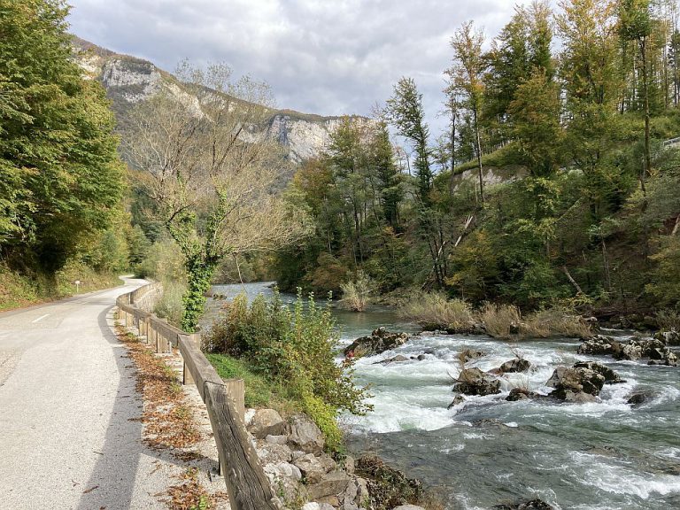 20201010_133540191_iOS