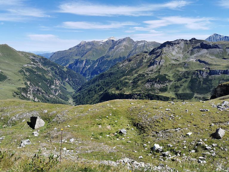 IMG_20200904_121220-1