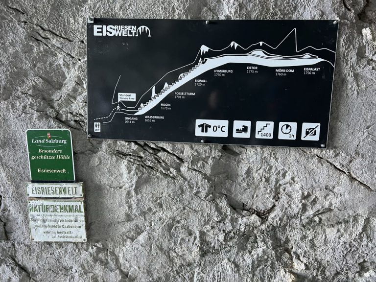 20220718 092119 1689