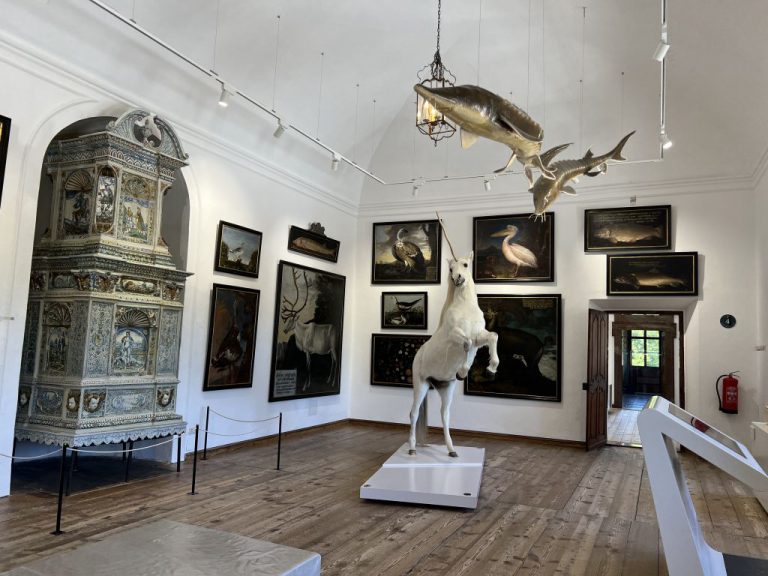 20220718 135205 1778