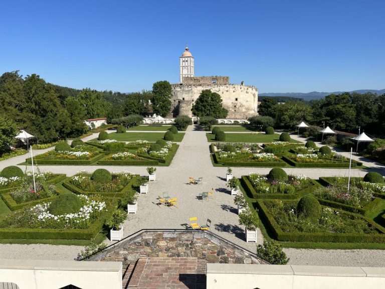 20220719 091153 1825