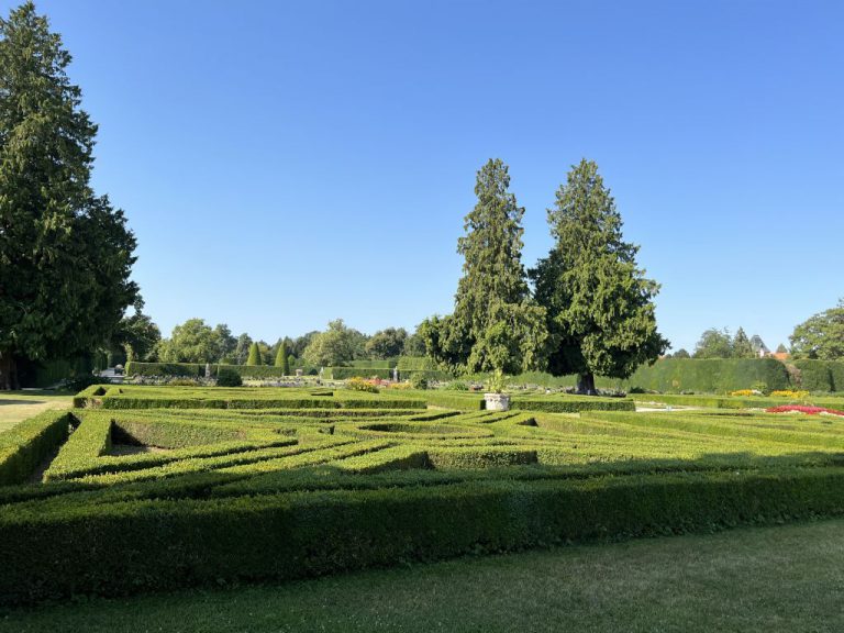 20220720 091158 1963