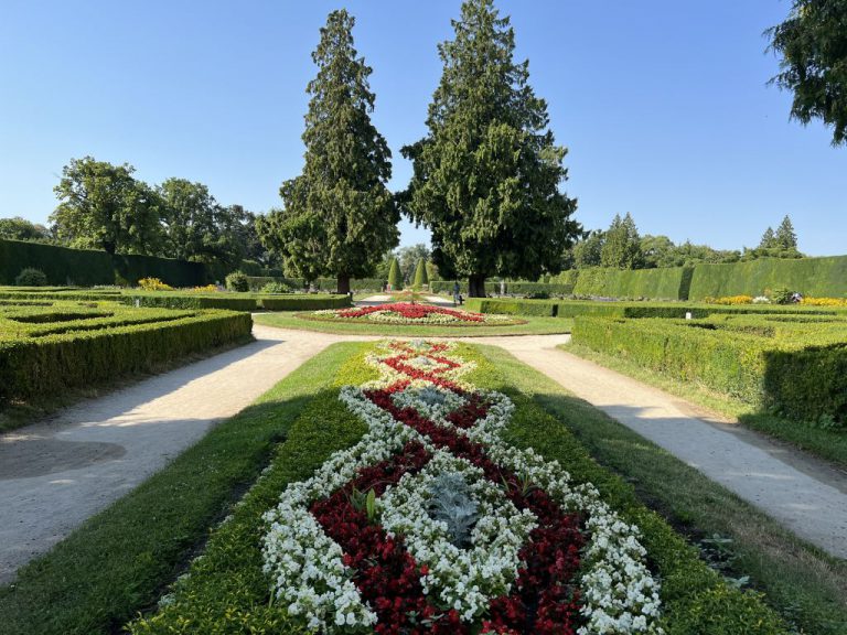 20220720 091245 1964