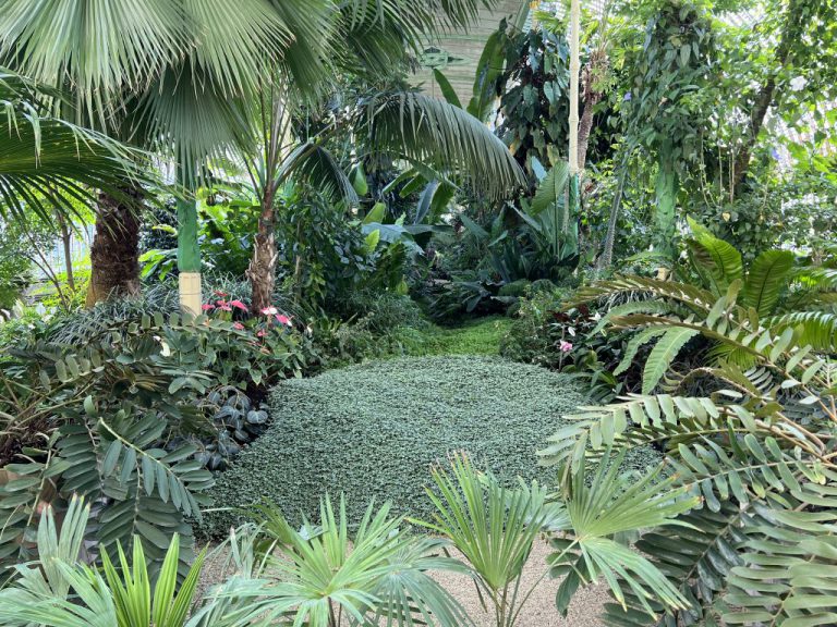 20220720 102103 2020