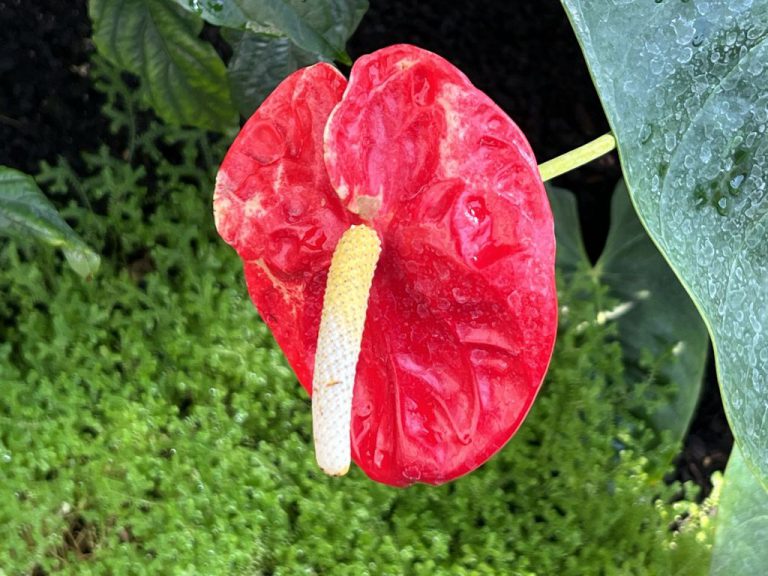 20220720 102219 2023