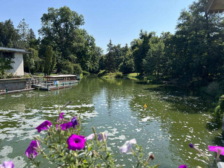 20220720 104103 2038