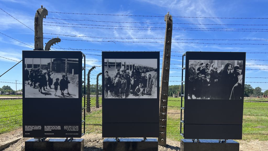 20220725 133803 2674