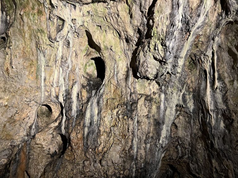 20220726 110546 2708