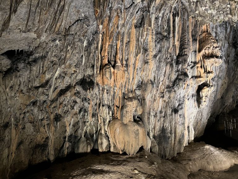 20220726 111511 2721