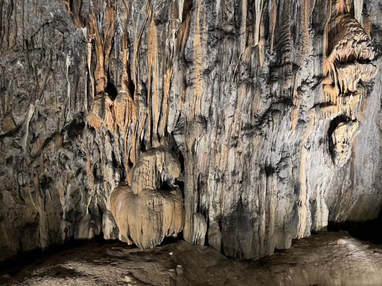 20220726 111928 2725