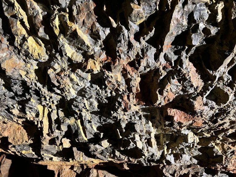 20220726 112317 2733