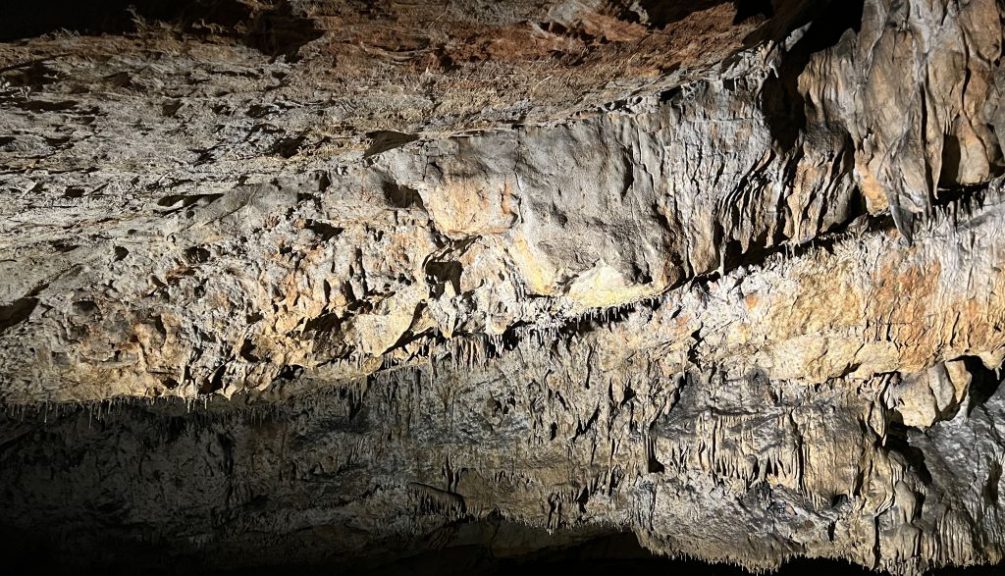 20220726 112408 2736