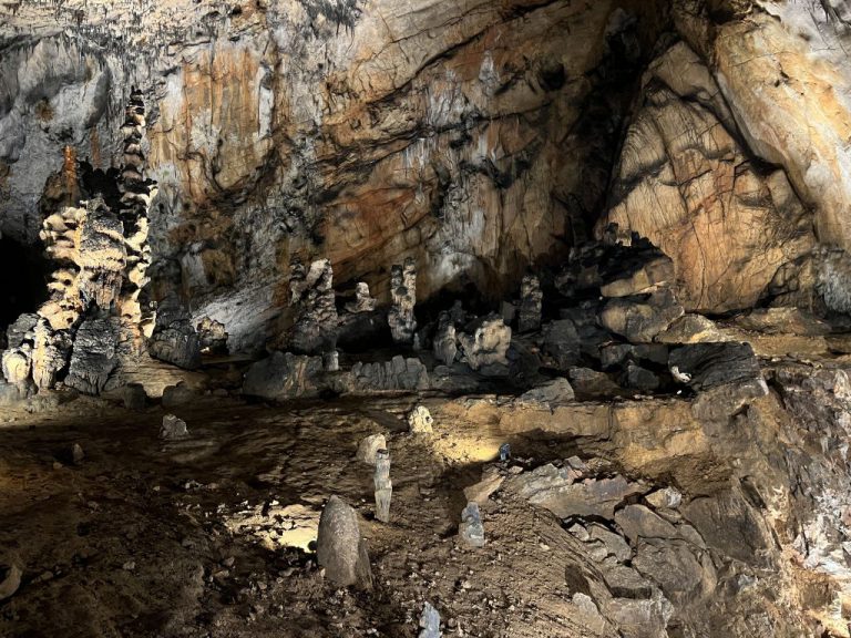 20220726 113437 2741