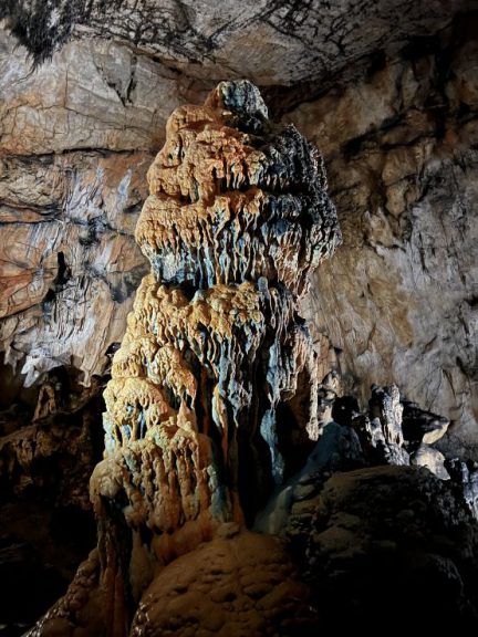 20220726 113606 2744