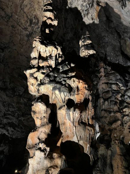 20220726 113648 2746