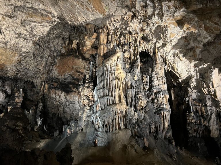 20220726 114234 2753