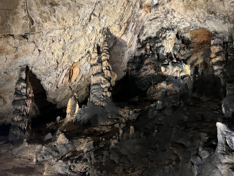 20220726 114332 2757