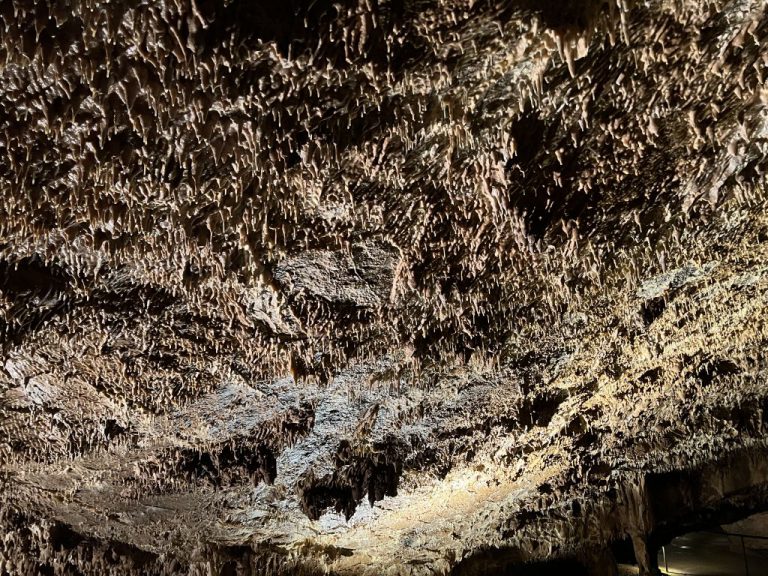 20220726 115847 2773