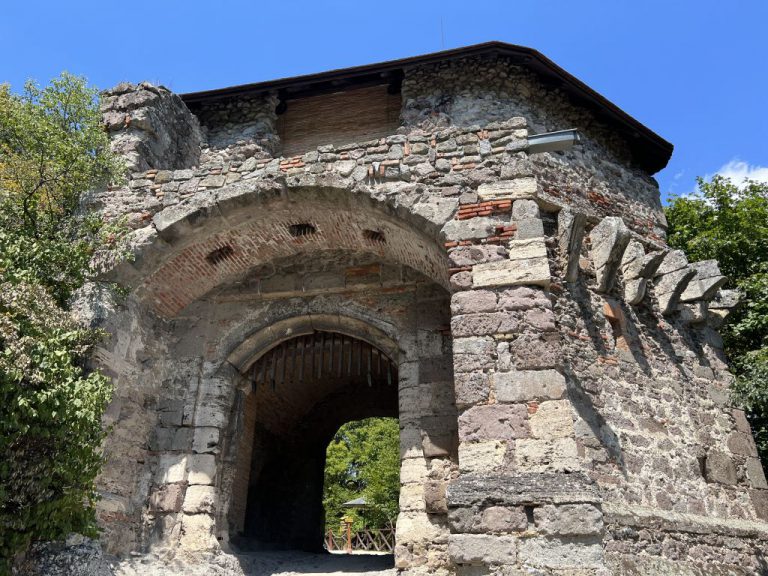 20220727 121936 2889