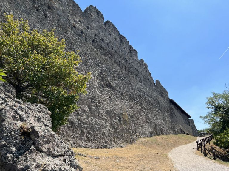 20220727 122536 2894