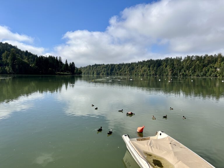 20220918 103145 3157