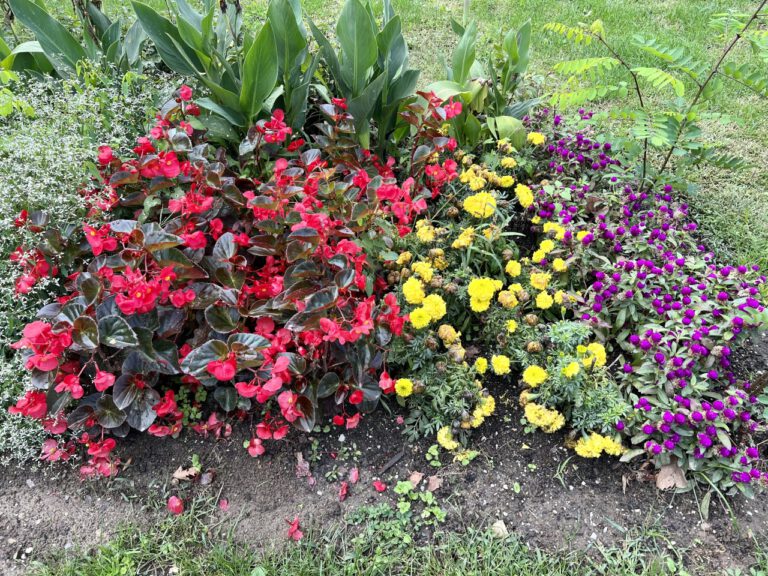 20220918 115227 3169